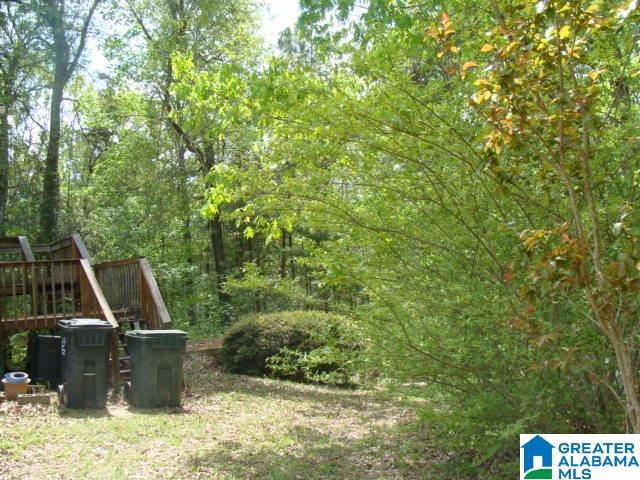 13556 Lock 17 Road Adger, AL 35006 - Photo 29 of 39