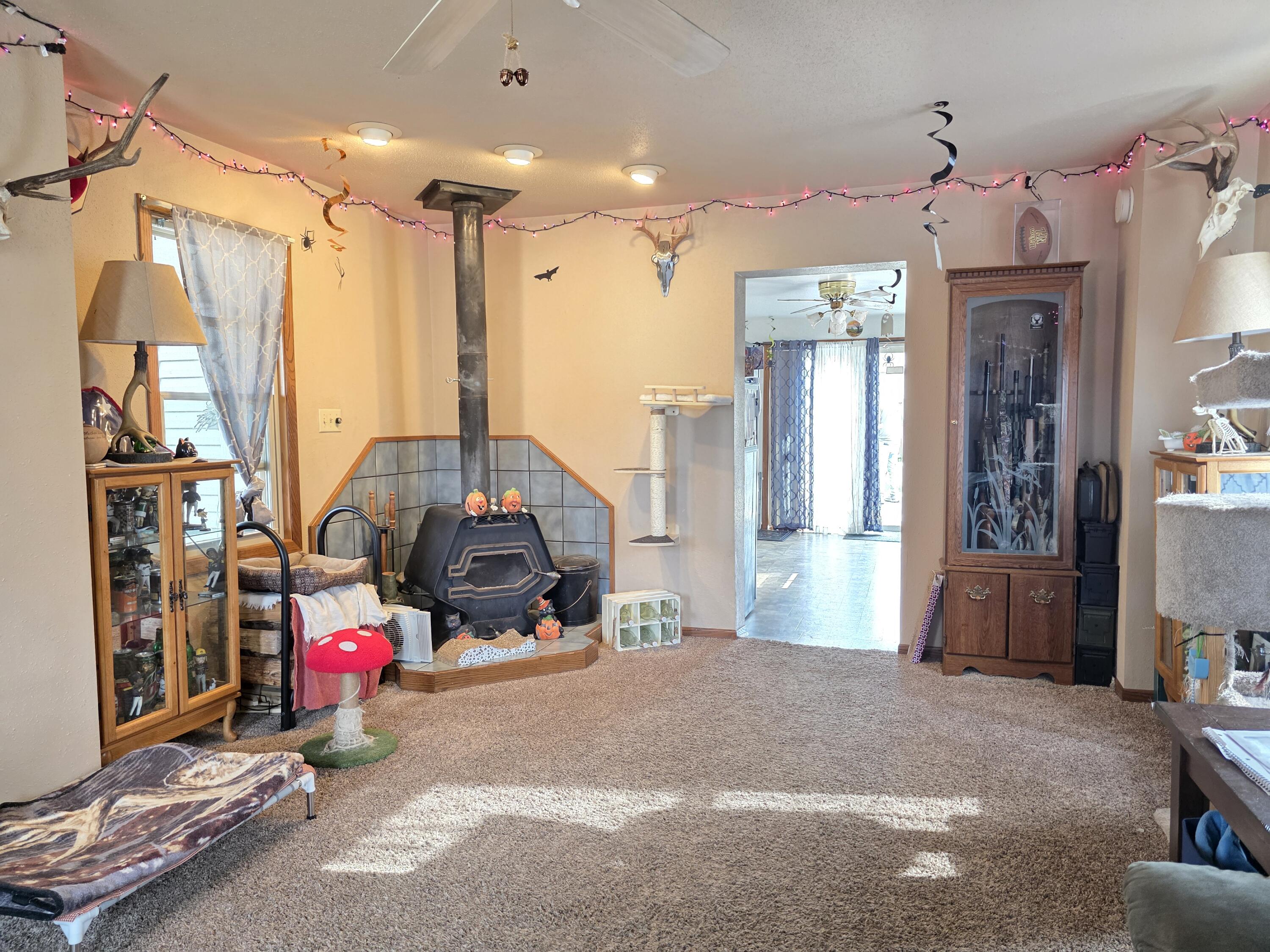 915 Cleveland Street Watertown, WI 53098 - Photo 8 of 24 20251016_141458