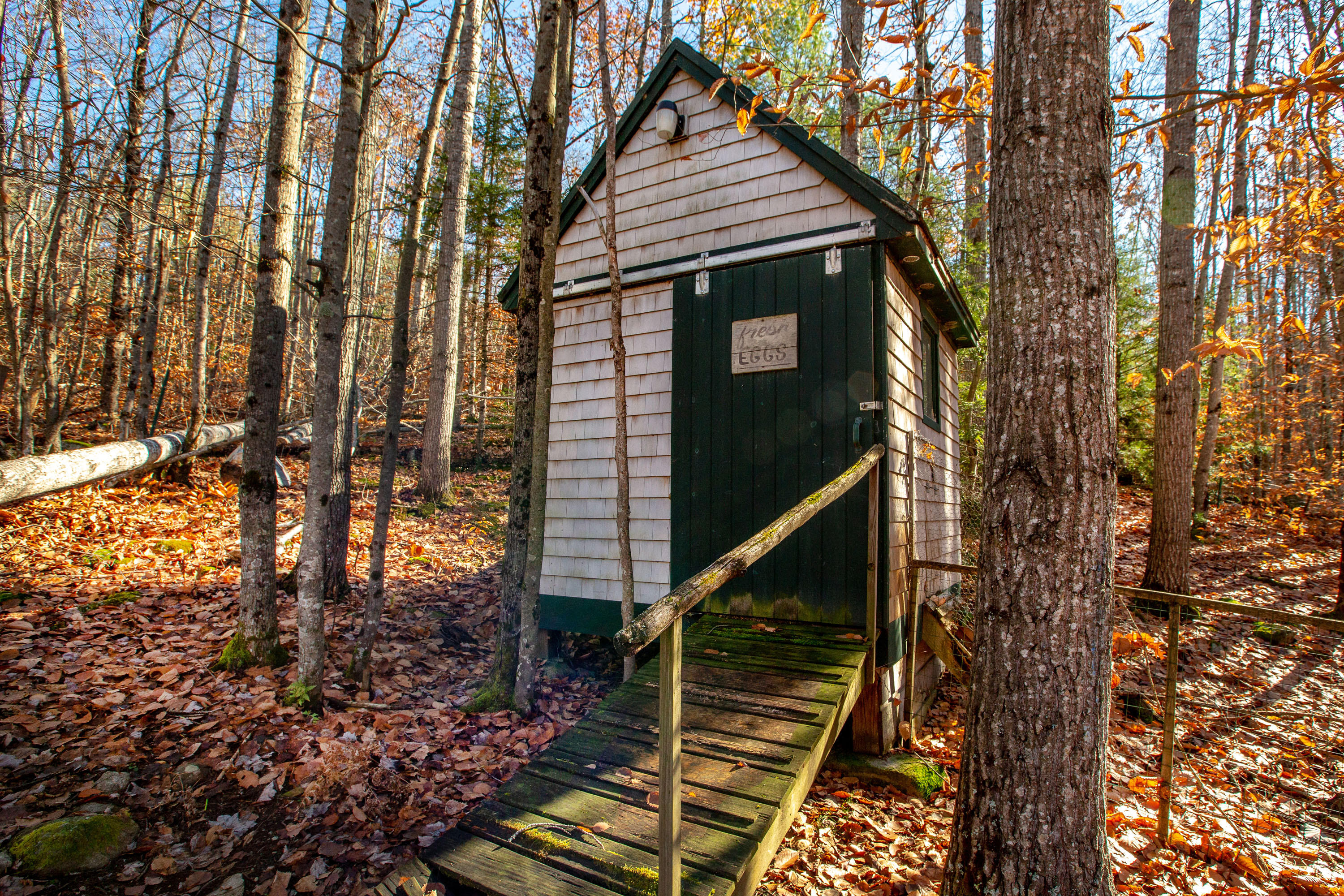 390 Bailey Road Alna, ME 04535 - Photo 52 of 62 Bailey_Hollander_09