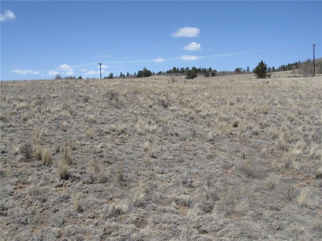 3157 Stagestop Road Jefferson, CO 80456 - Photo 4 of 9 Gallery Image 4
