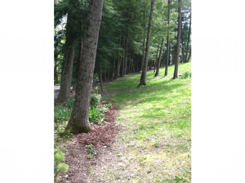 111 Bertsnest Road Wells, VT 05774 - Photo 34 of 34 Gallery Image 34