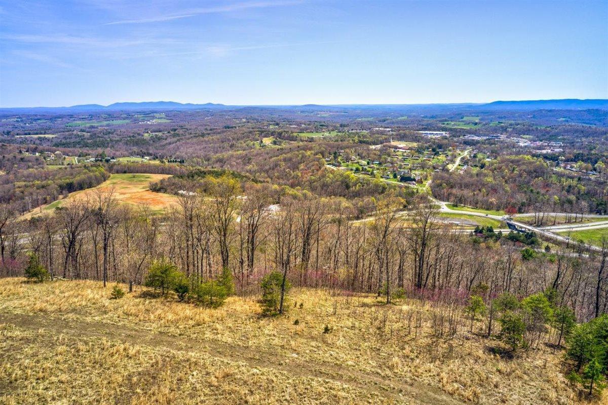 Lot 65 Penny Lane Rocky Mount, VA 24151 - Photo 5 of 5 a4