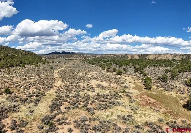 a view of a bunch of trees