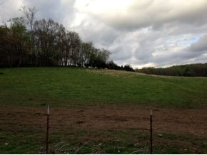 460 Betsy Ross Road Afton, TN 37616 - Photo 3 of 4 Photo 3