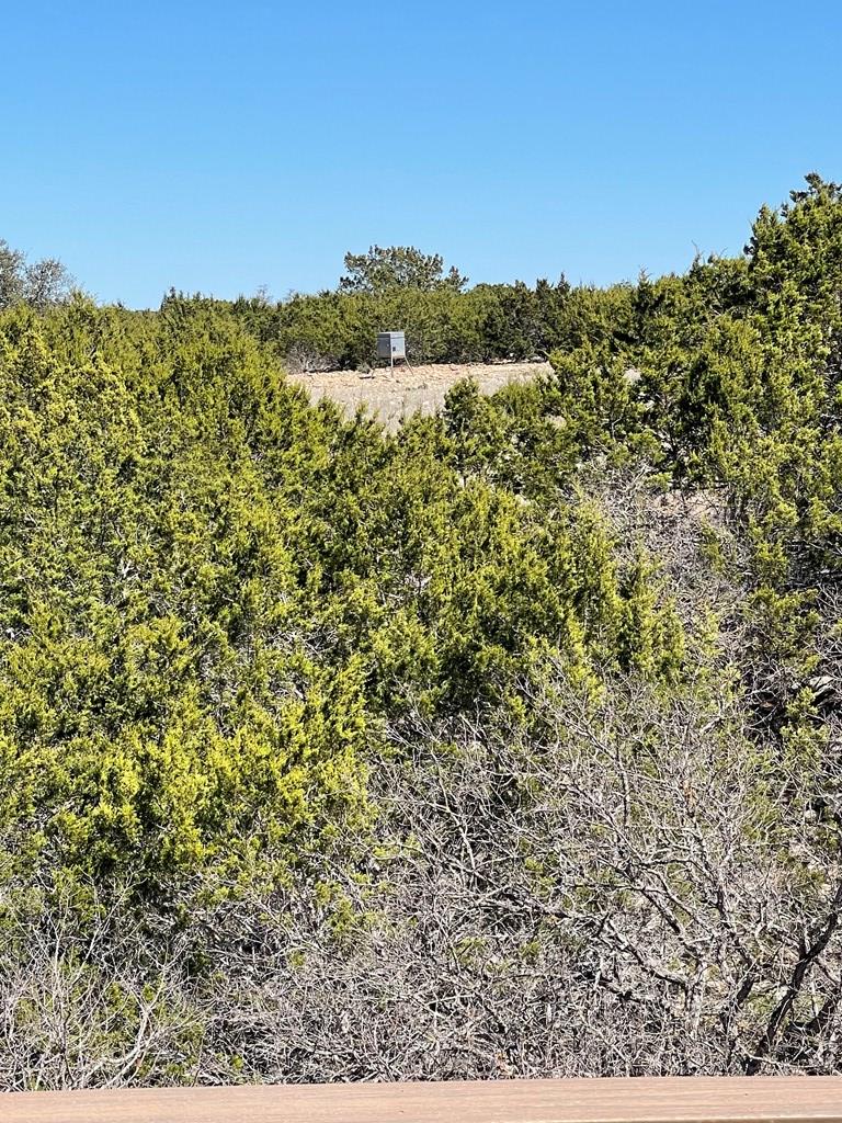 145 West Ibex Road Mountain Home, TX 78058 - Photo 13 of 21