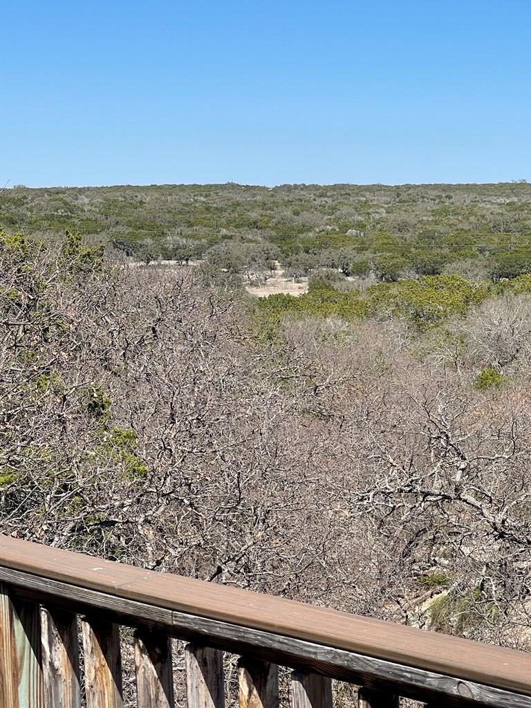145 West Ibex Road Mountain Home, TX 78058 - Photo 14 of 21