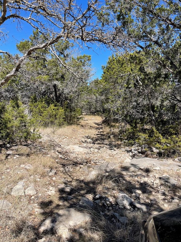 145 West Ibex Road Mountain Home, TX 78058 - Photo 18 of 21