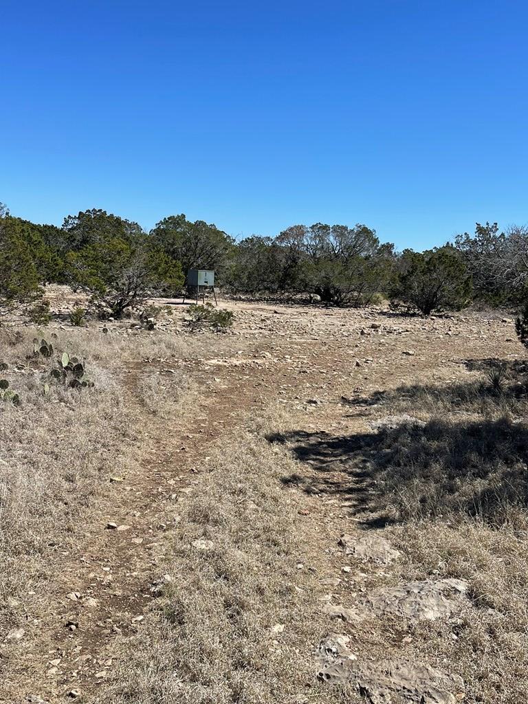 145 West Ibex Road Mountain Home, TX 78058 - Photo 19 of 21