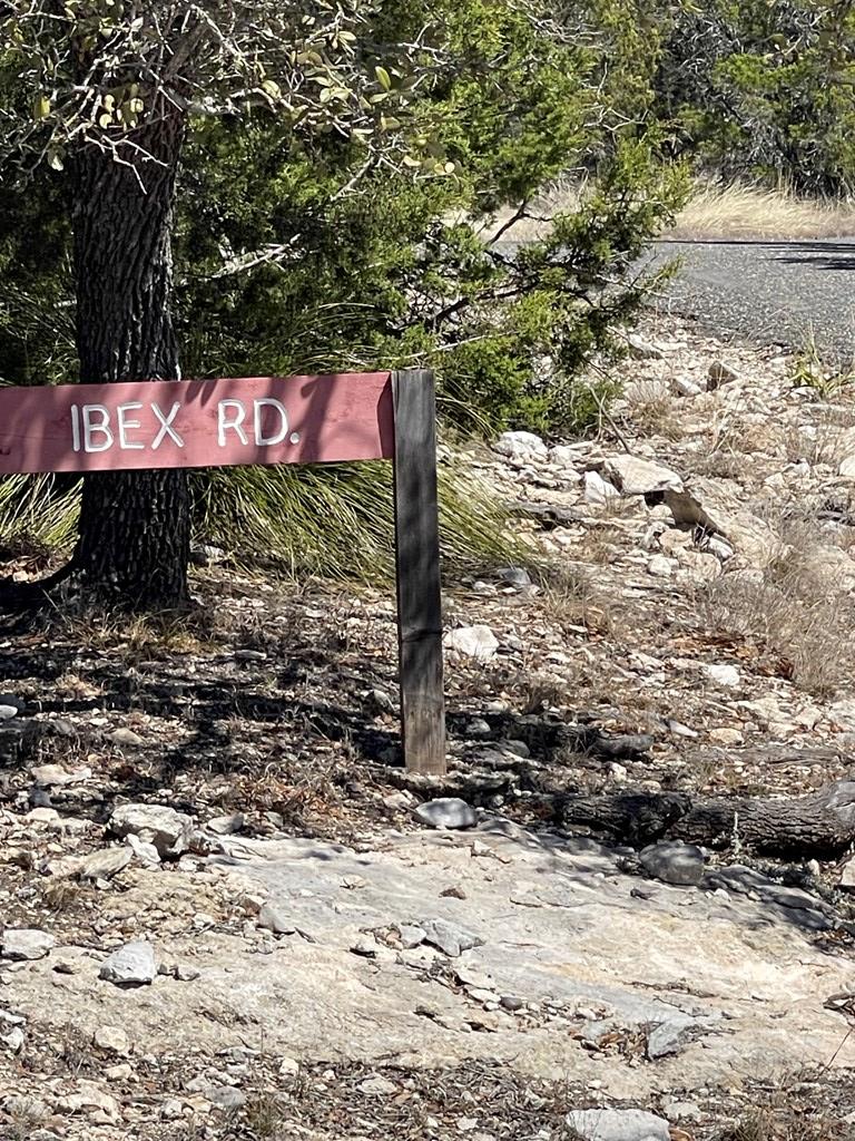 145 West Ibex Road Mountain Home, TX 78058 - Photo 21 of 21