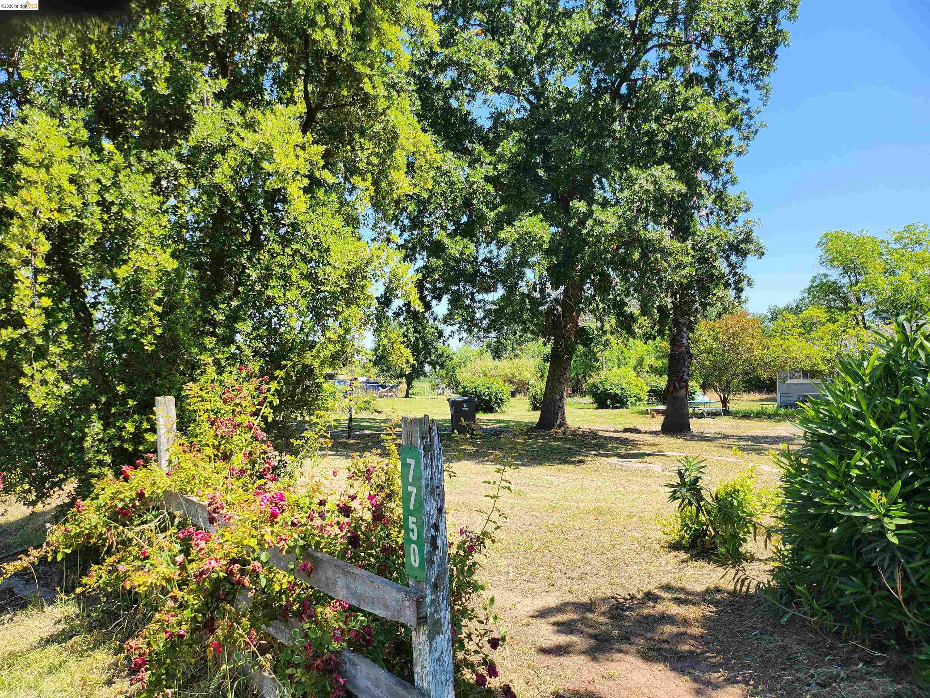 7750 Locke Road Vacaville, CA 95688 - Photo 18 of 23 Expansive outdoor space featuring mature trees and a rustic wood fence