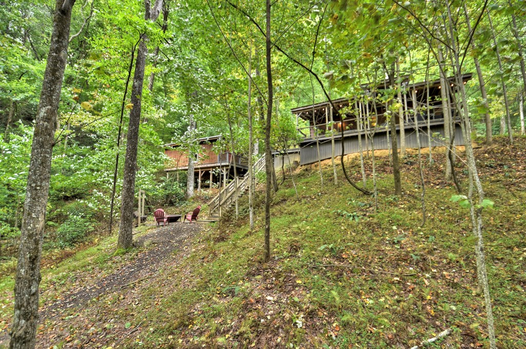 163 Chestnut Ridge Circle Blue Ridge, GA 30513 - Photo 9 of 36 Gallery Image 9