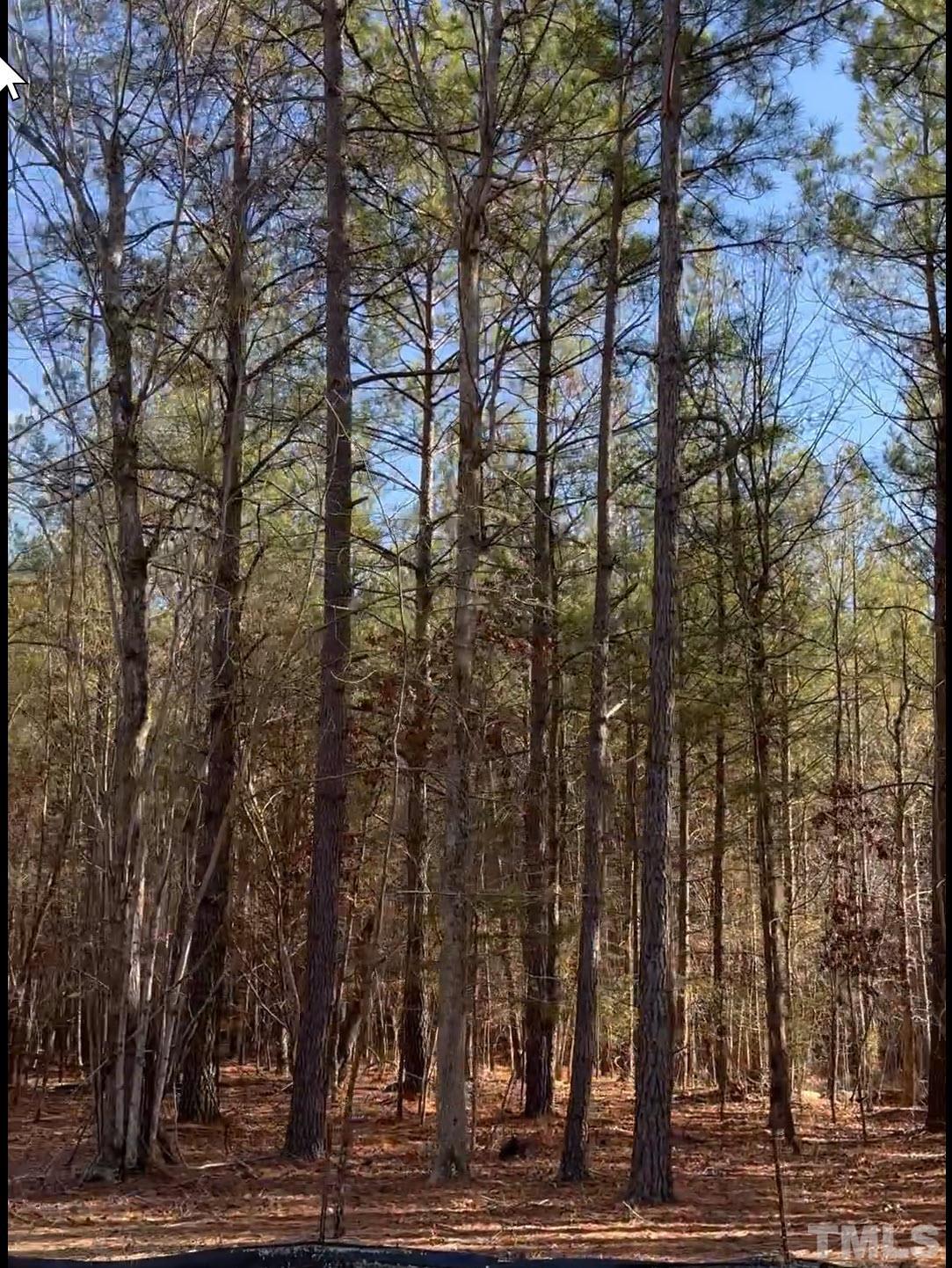 Lot 5 Array Drive Hillsborough, NC 27278 - Photo 2 of 13