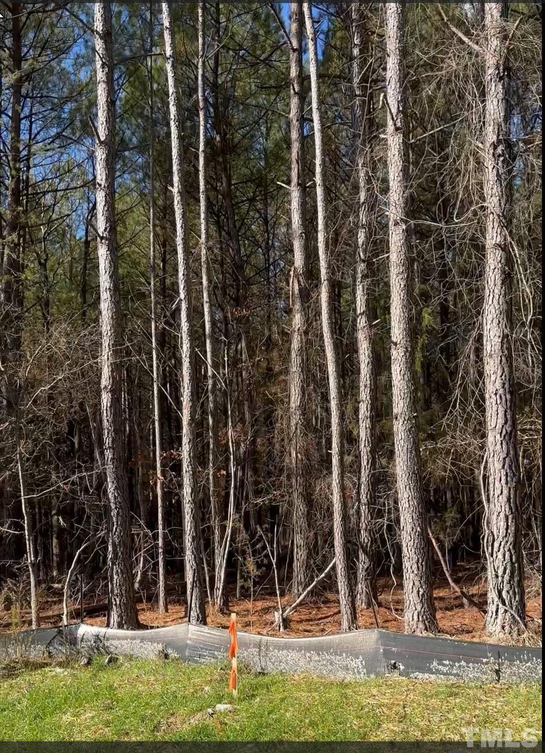 Lot 5 Array Drive Hillsborough, NC 27278 - Photo 3 of 13