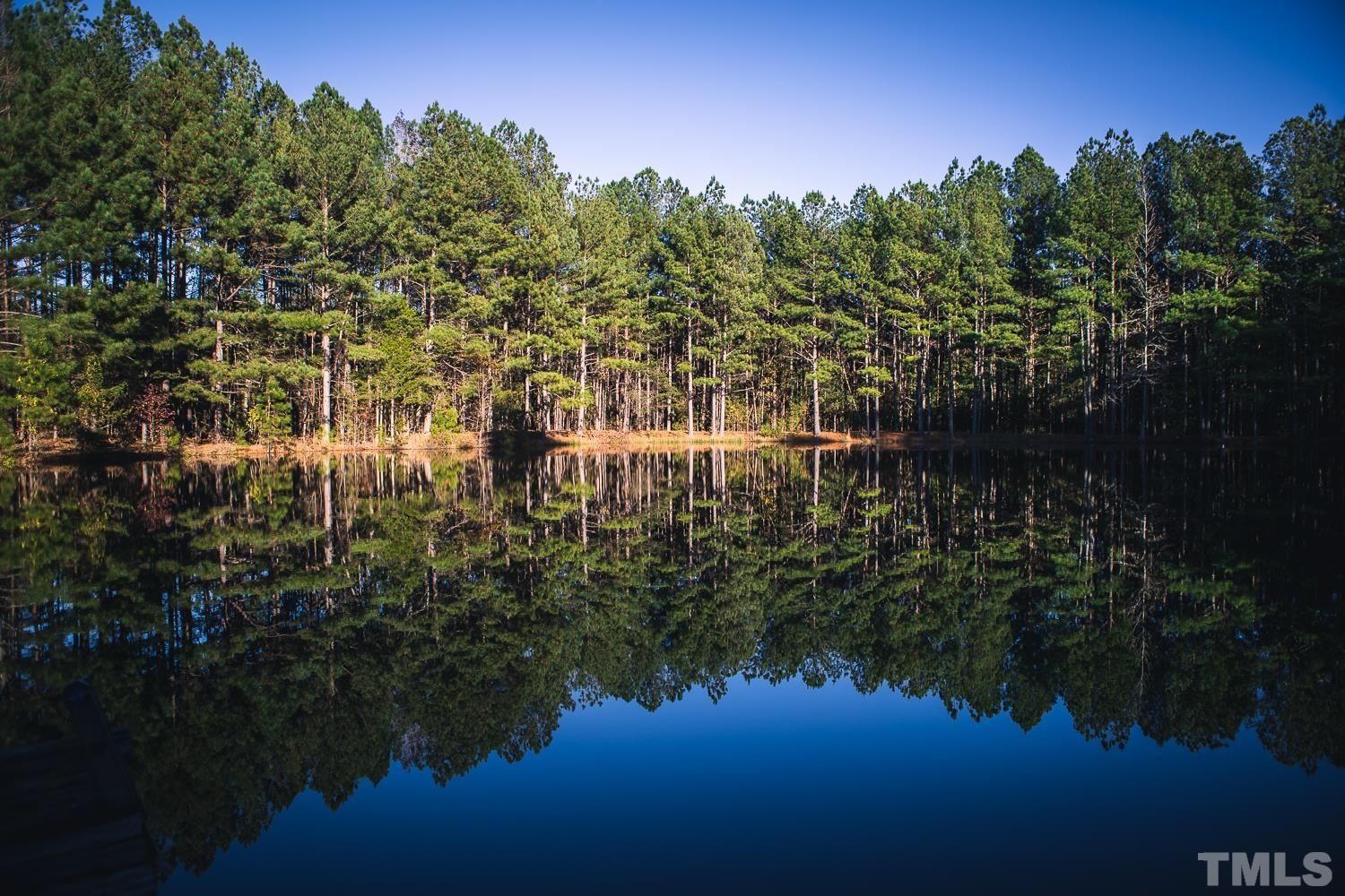 Lot 5 Array Drive Hillsborough, NC 27278 - Photo 8 of 13