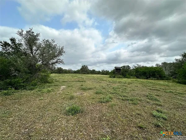 a view of a field with an trees in back