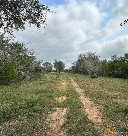 a view of a field with a trees in the background