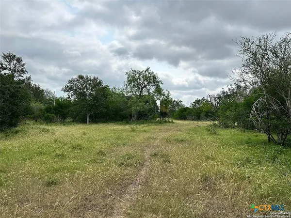 a view of outdoor space with trees