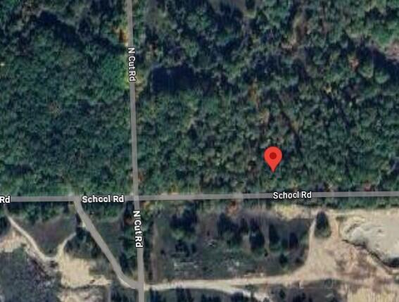 Par D North Cut Road Roscommon, MI 48653 - Photo 2 of 8 Street Map