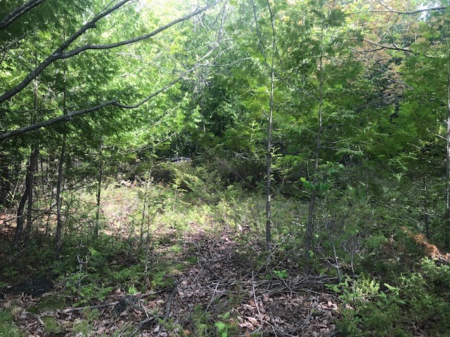 Lot 2 West Meadow Road Fish Creek, WI 54212 - Photo 23 of 40
