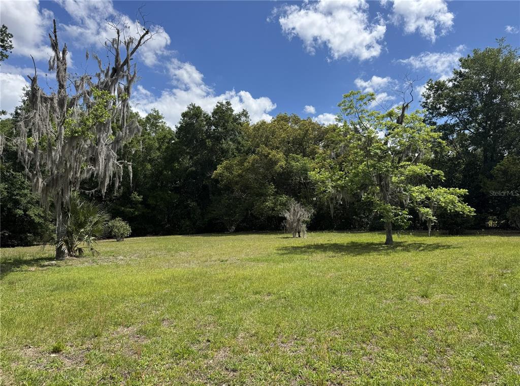 65 Howard Street Umatilla, FL 32784 - Photo 4 of 5