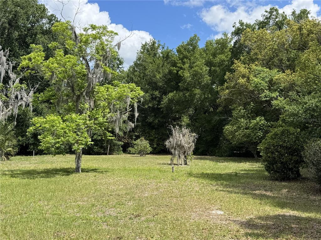 65 Howard Street Umatilla, FL 32784 - Photo 5 of 5