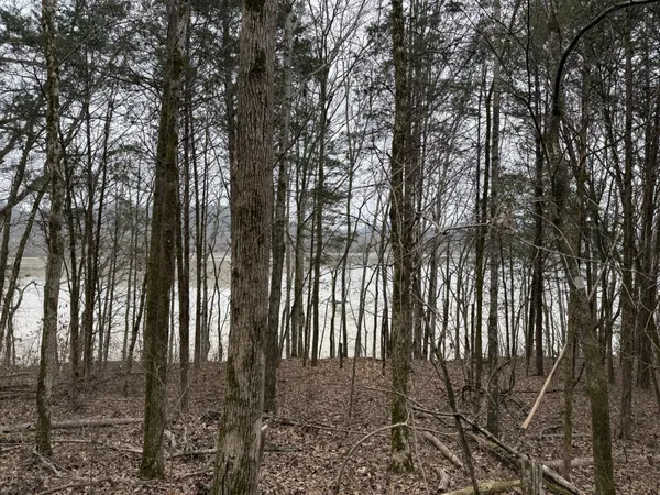 a view of outdoor space and garden