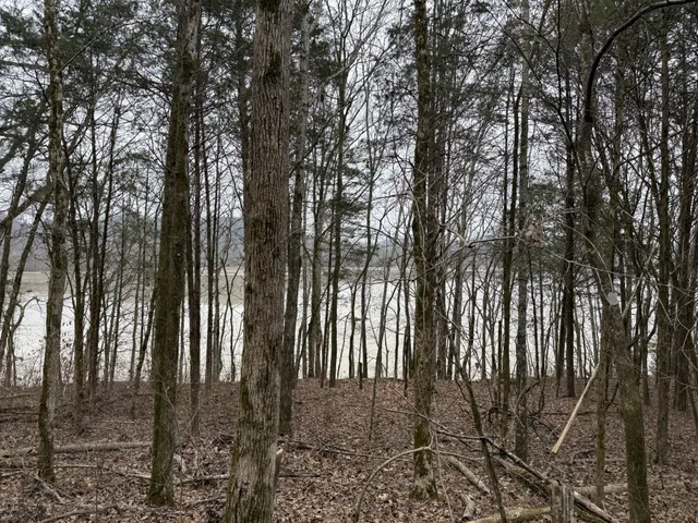 a view of outdoor space and garden