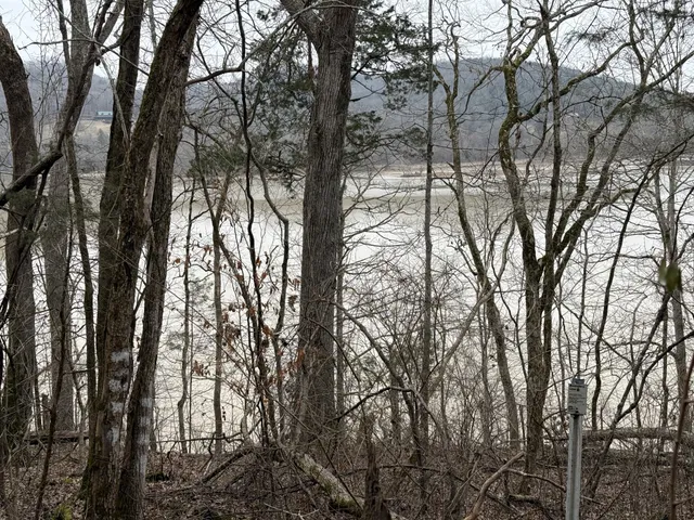 outdoor view and trees
