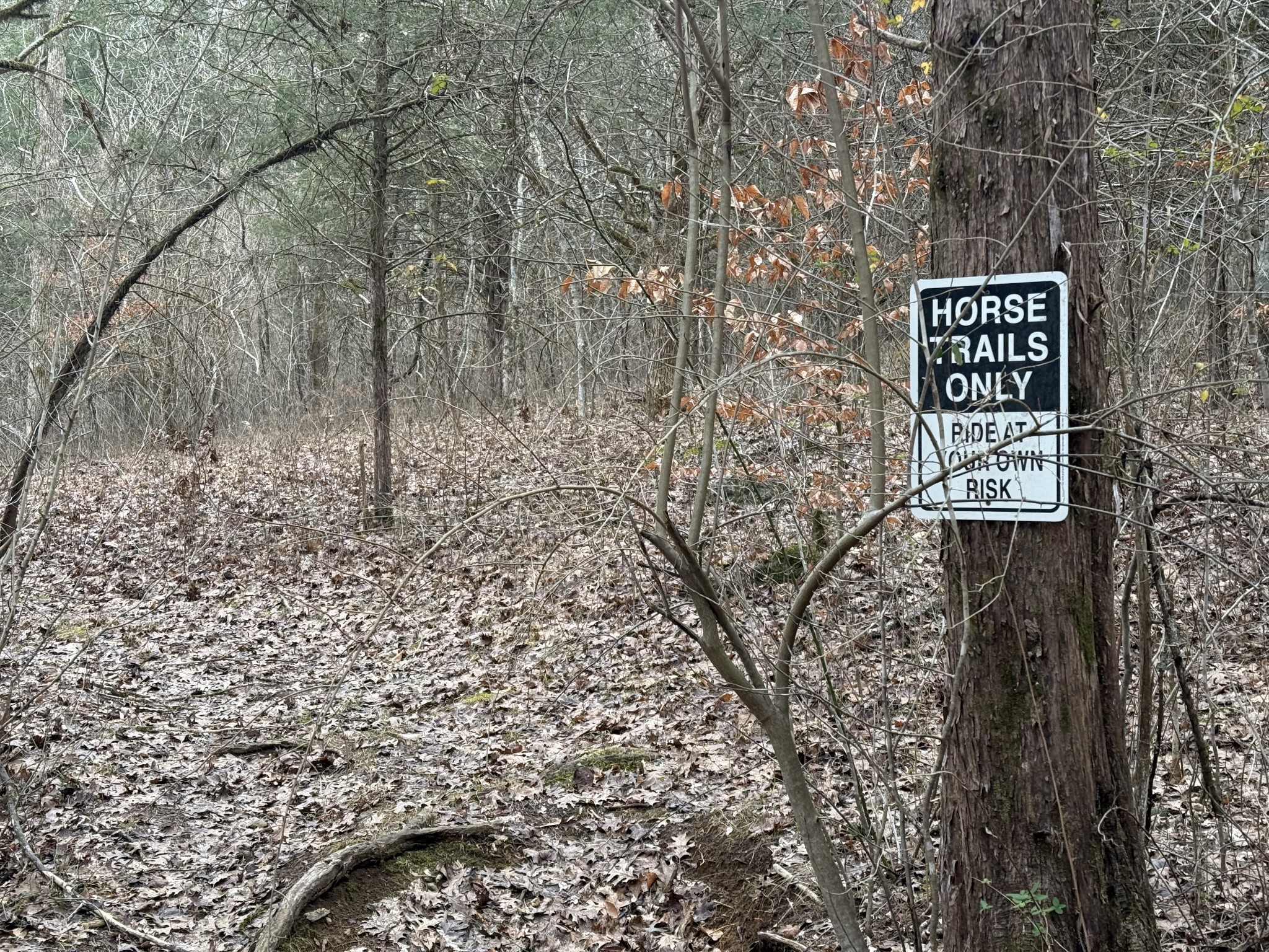 0 Cook Lane Gainesboro, TN 38562 - Photo 7 of 19 a sign that is on the side of a road