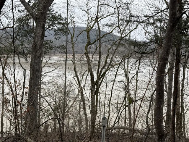 an outdoor space with lots of trees