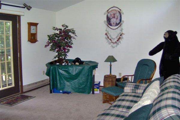 582 Bond Street Bushkill, PA 18324 - Photo 3 of 10 a living room with furniture chandelier and a window