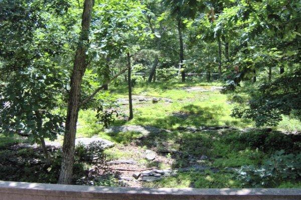 582 Bond Street Bushkill, PA 18324 - Photo 10 of 10 a view of yard