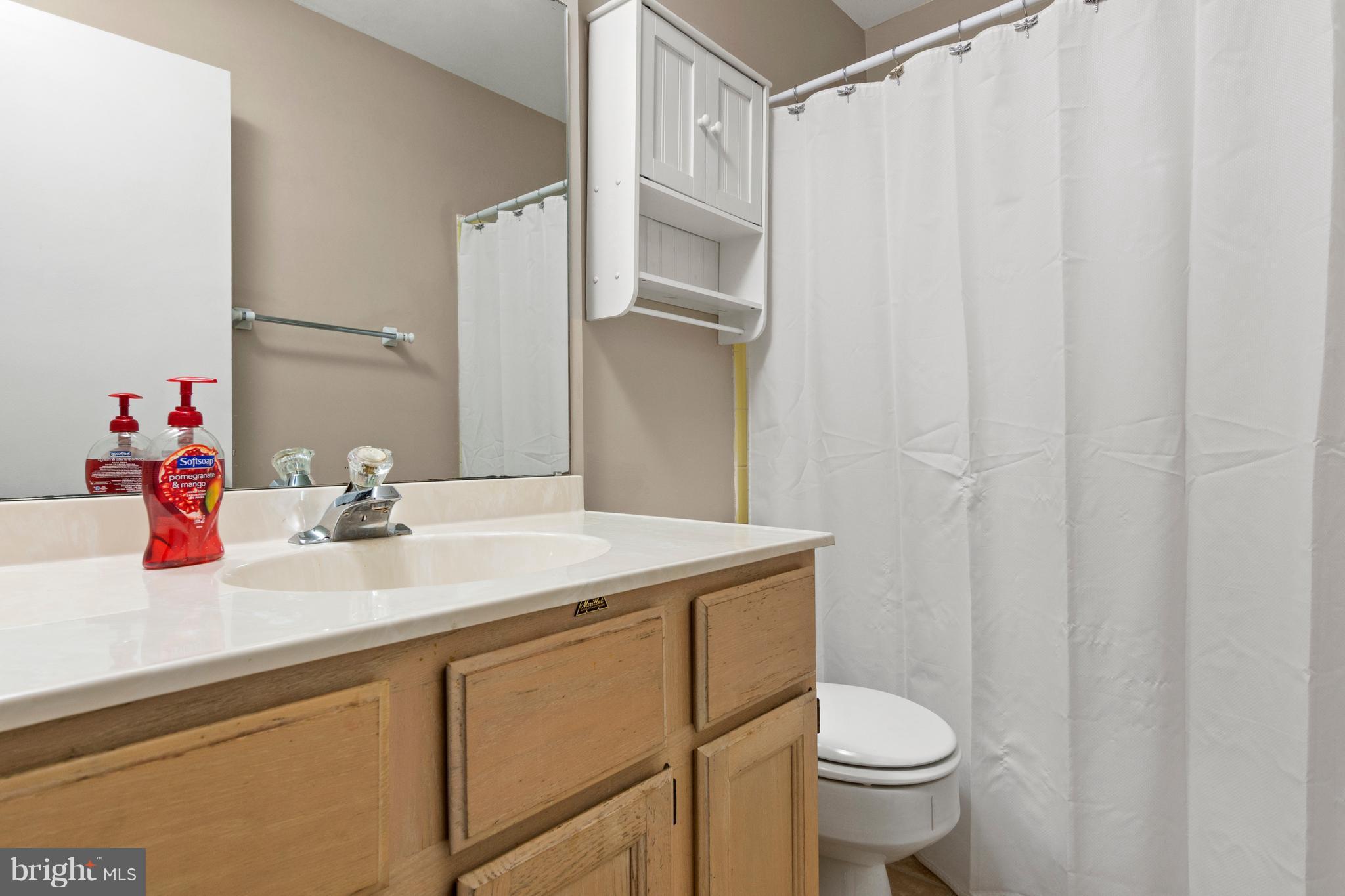 3737 Nile Road Davidsonville, MD 21035 - Photo 22 of 28 Full bath in the main hallway