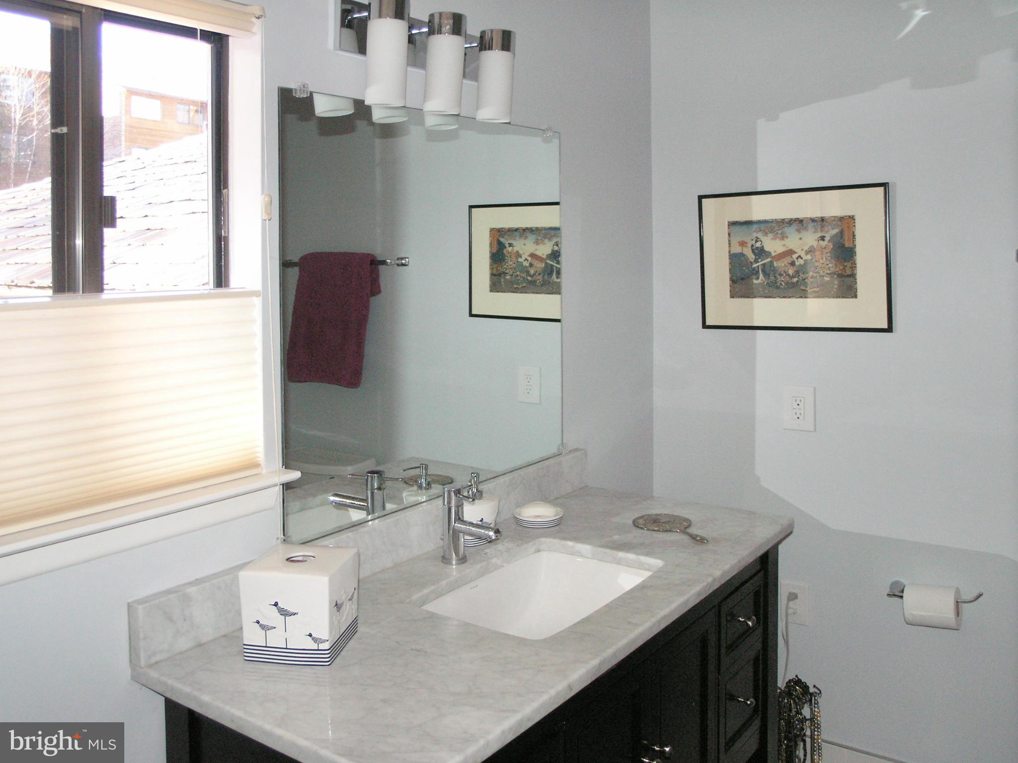 2129 Cabots Point Lane Reston, VA 20191 - Photo 16 of 29 Bath (Master)