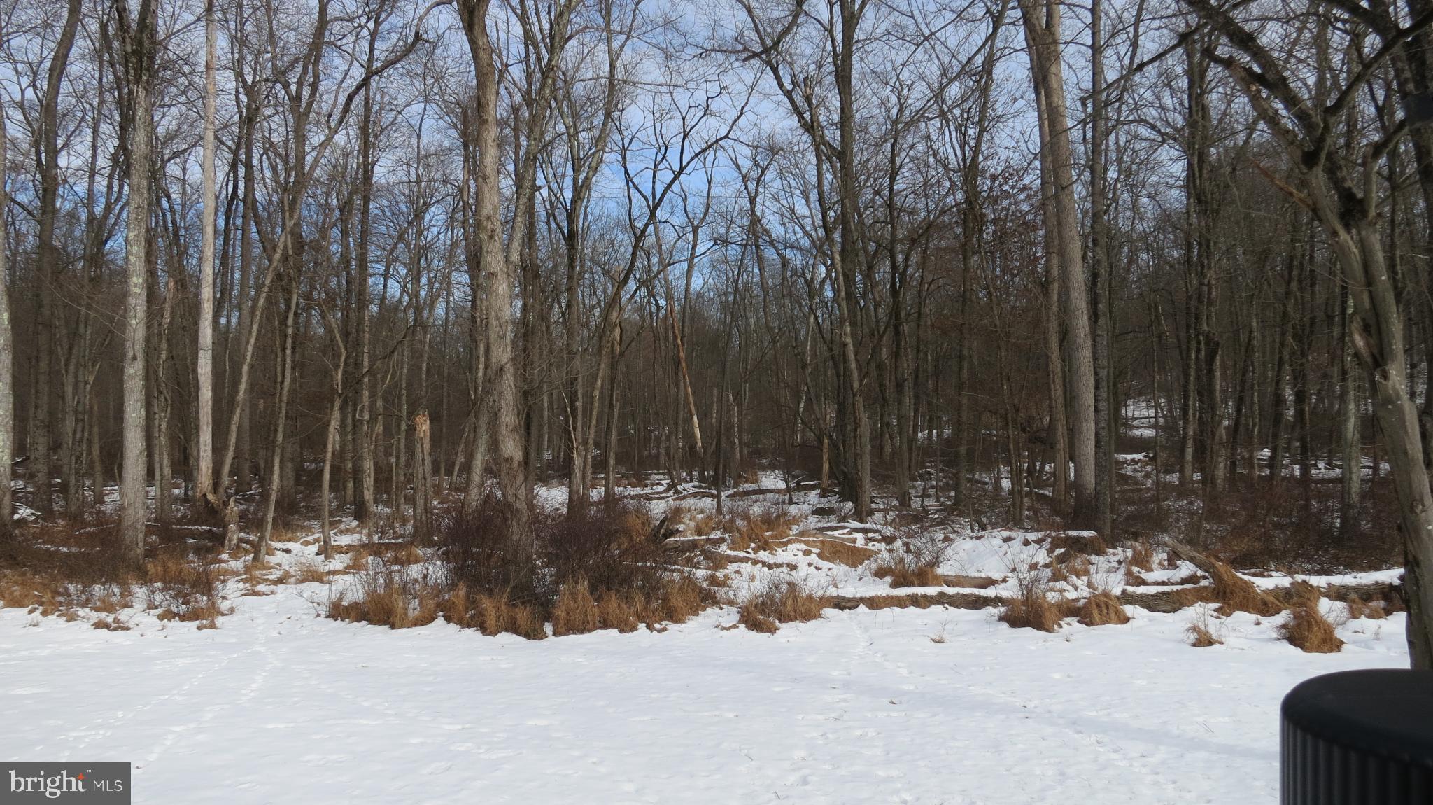 99 Lindbergh Road Hopewell, NJ 08525 - Photo 17 of 64 Winter's embrace in a tranquil woodland scene.