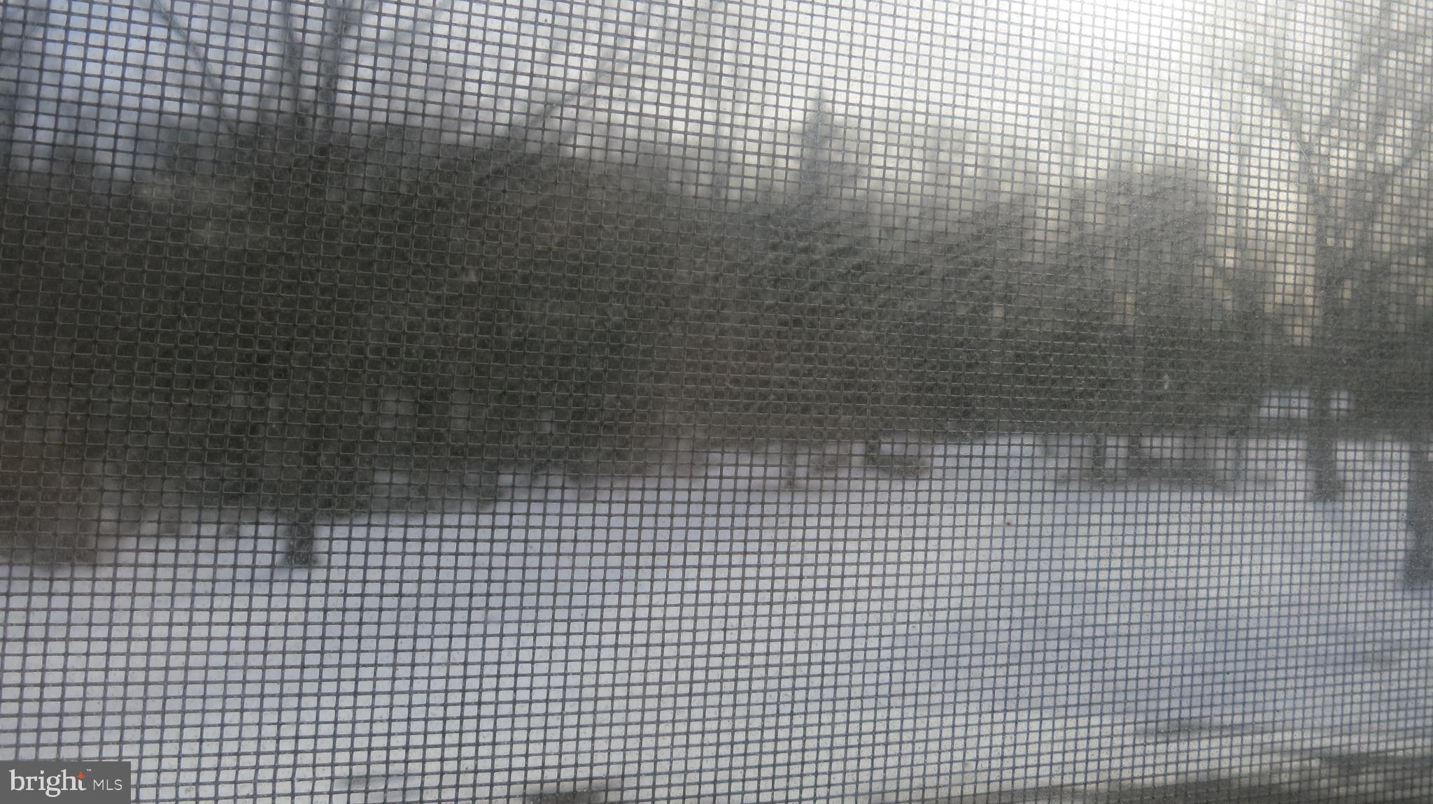 99 Lindbergh Road Hopewell, NJ 08525 - Photo 37 of 64 Winter's serene landscape through a screen.