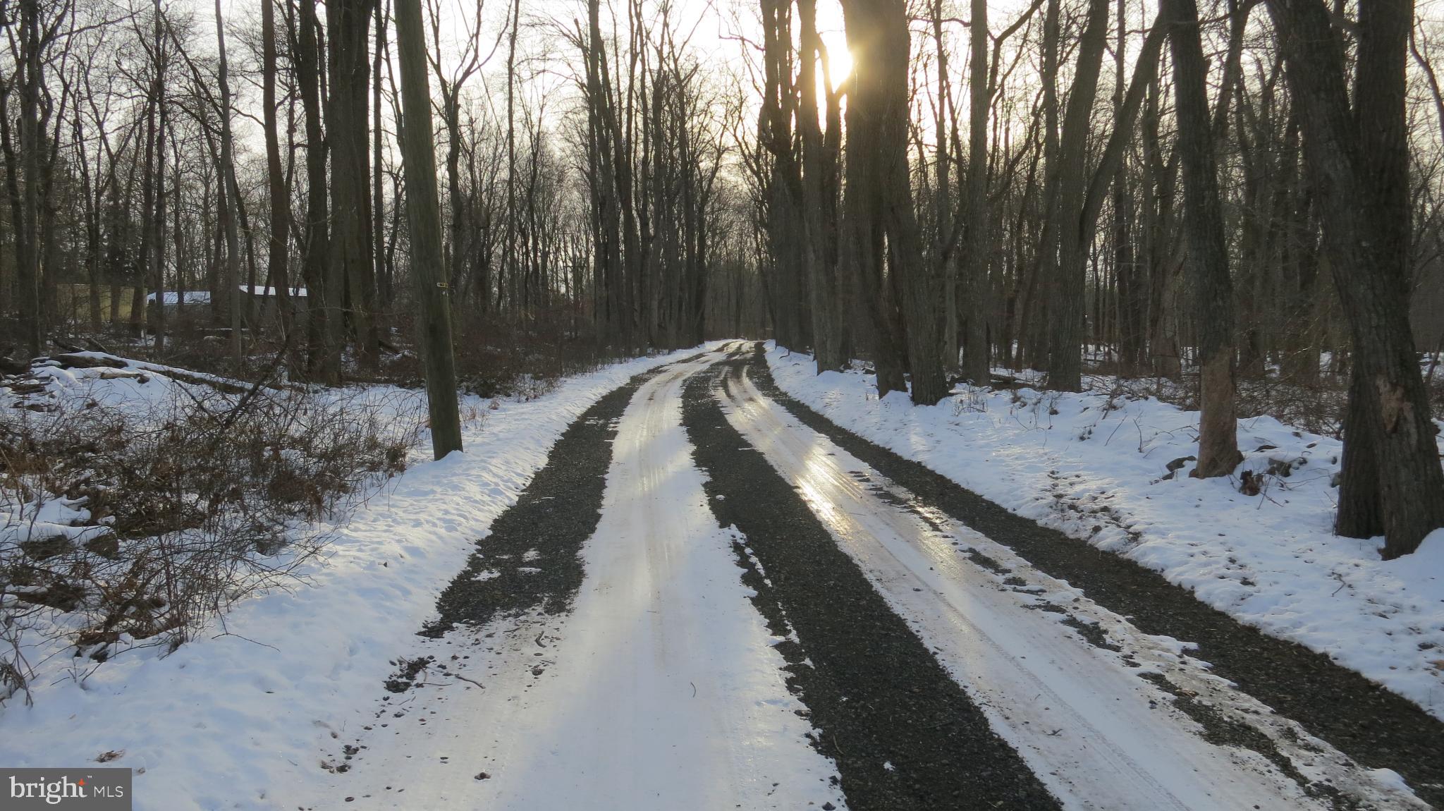 99 Lindbergh Road Hopewell, NJ 08525 - Photo 64 of 64 Winding path through a snowy forest.