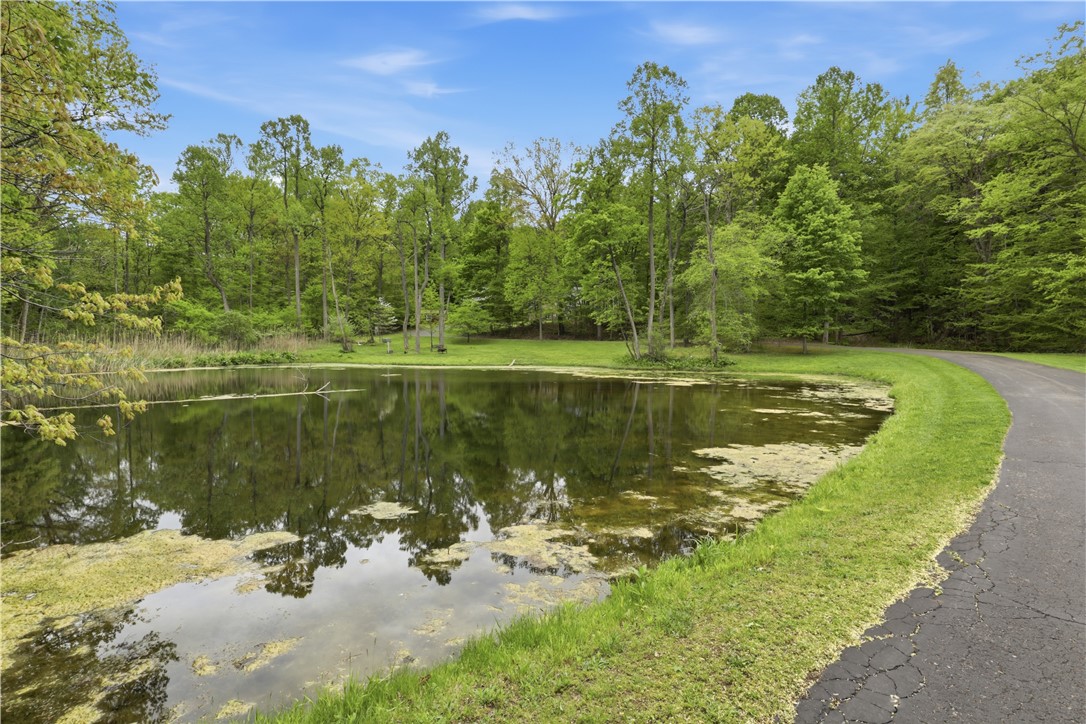 920 Willis Hill Road Victor, NY 14564 - Photo 42 of 42 Your own private stocked pond.