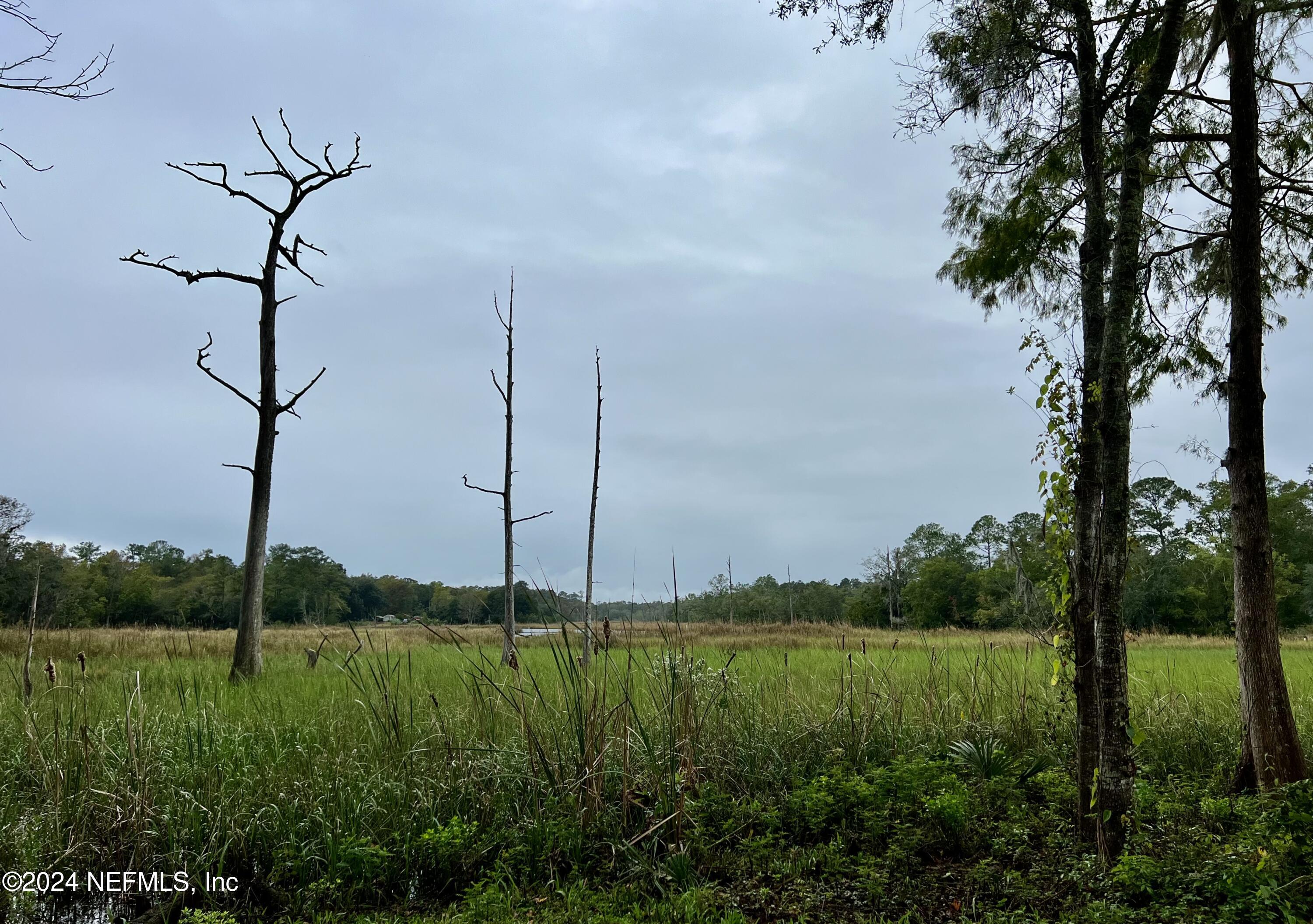 9672 Sibbald Road Jacksonville, FL 32208 - Photo 42 of 62 IMG_5472