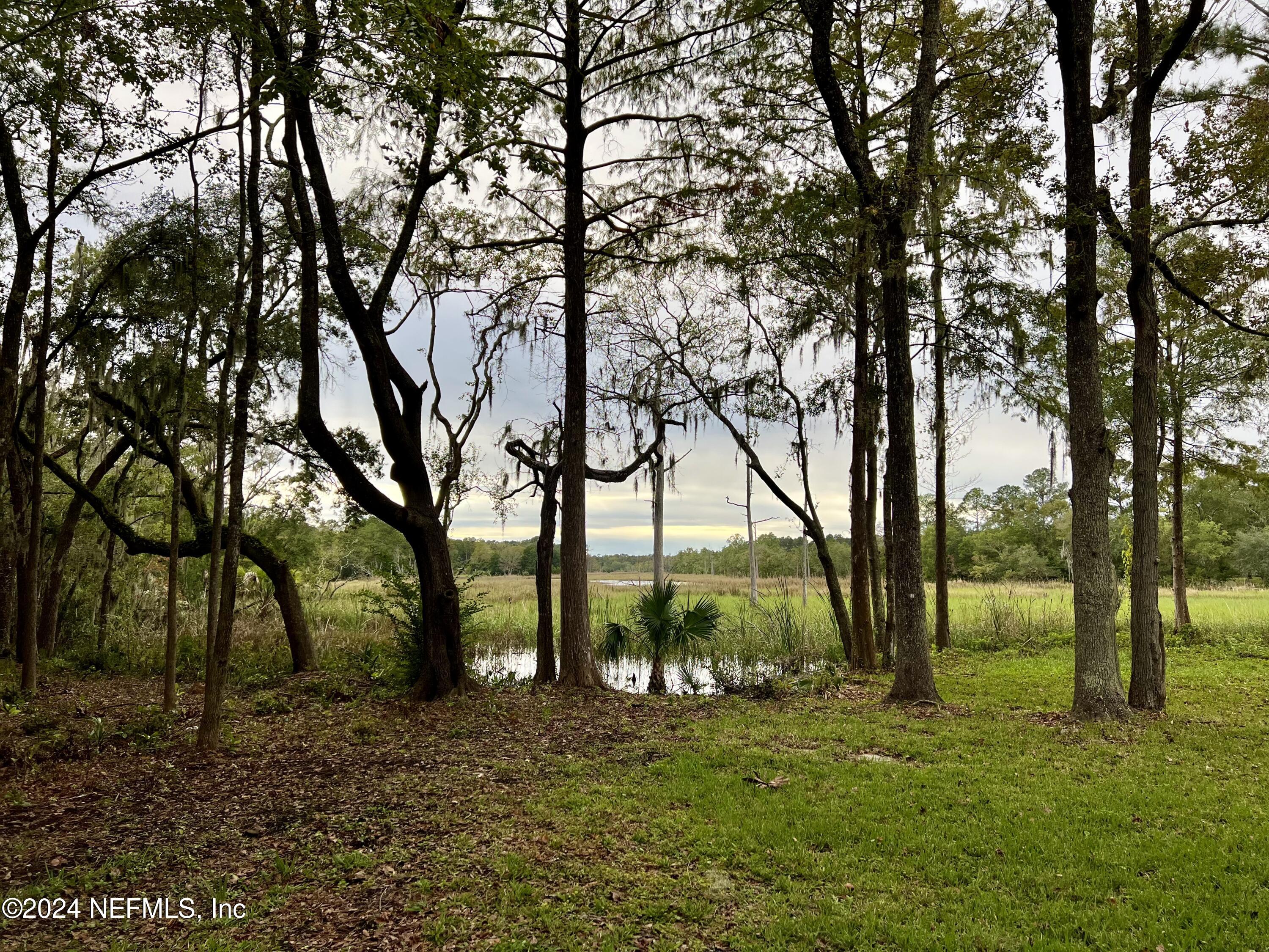 9672 Sibbald Road Jacksonville, FL 32208 - Photo 58 of 62 IMG_5526