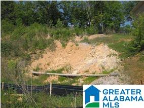 13 Mitch Lane, Unit 13 Alabaster, AL 35007 - Photo 2 of 11