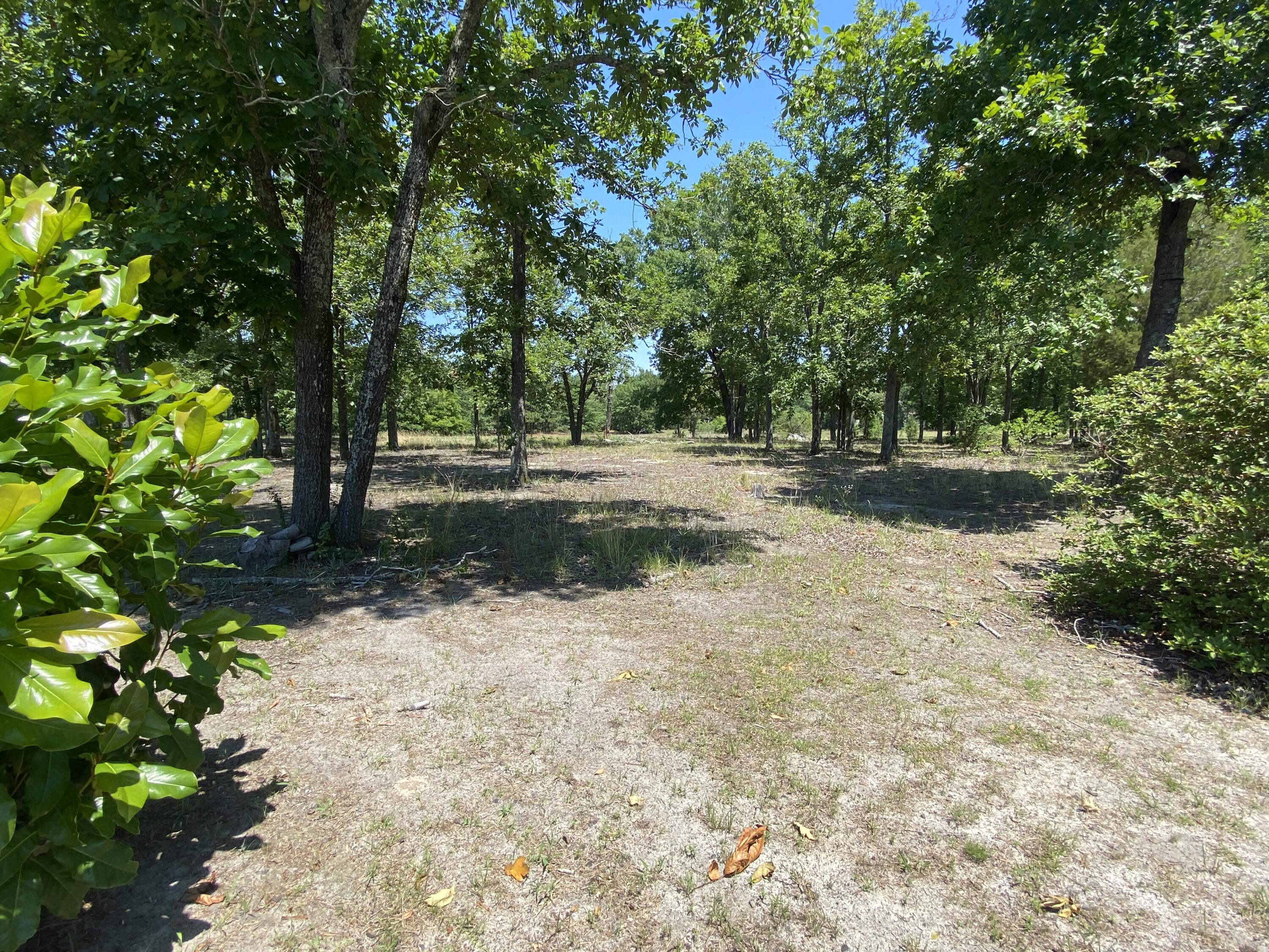 741 Tinker Creek Road Williston, SC 29853 - Photo 10 of 29