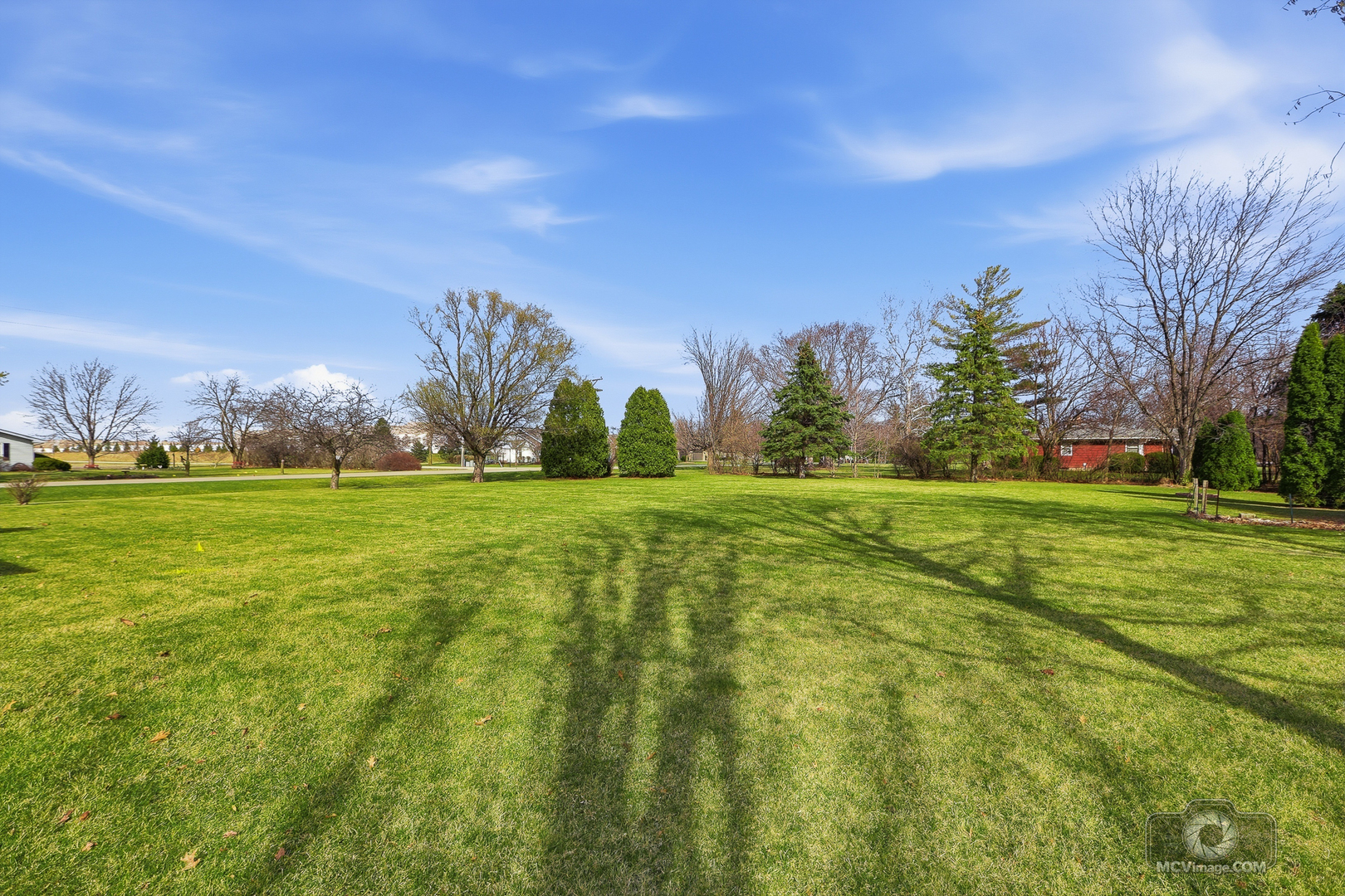 24711 South Sycamore Street Elwood, IL 60421 - Photo 27 of 38 a view of yard with trees