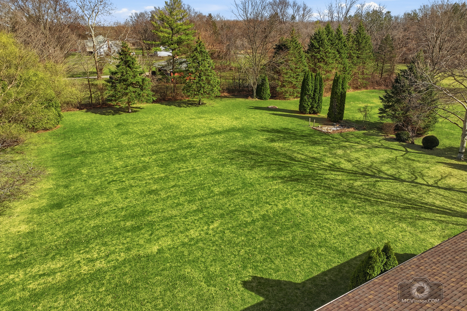 24711 South Sycamore Street Elwood, IL 60421 - Photo 28 of 38 a view of a big yard with large trees
