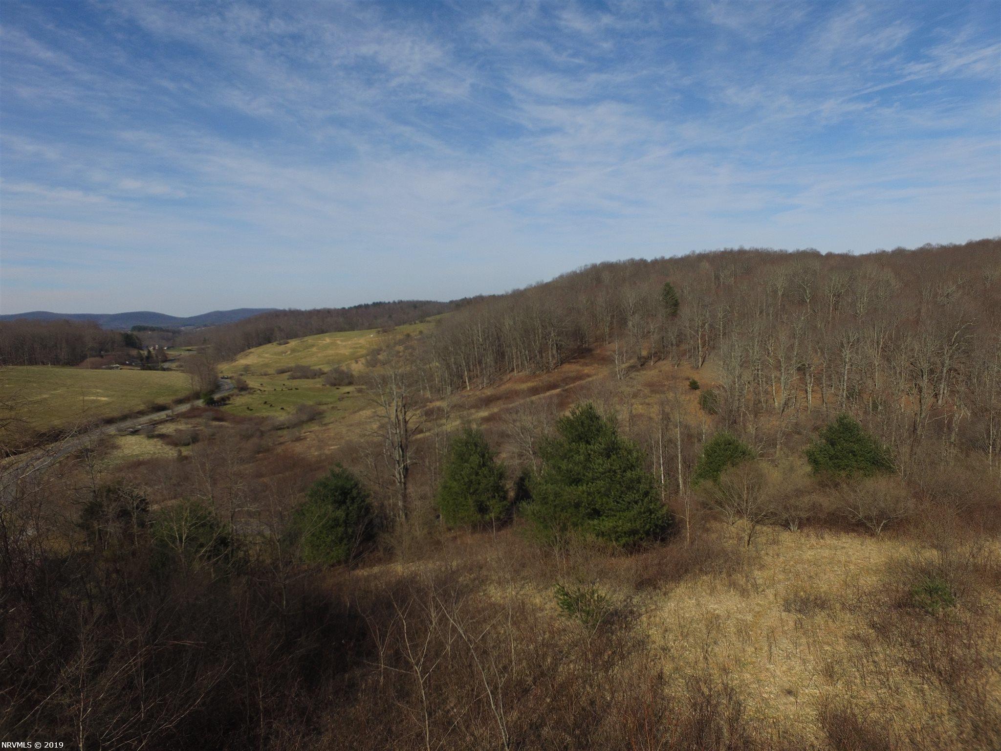 Tbd Union School Road Southwest Floyd, VA 24091 - Photo 11 of 11 Gallery Image 11