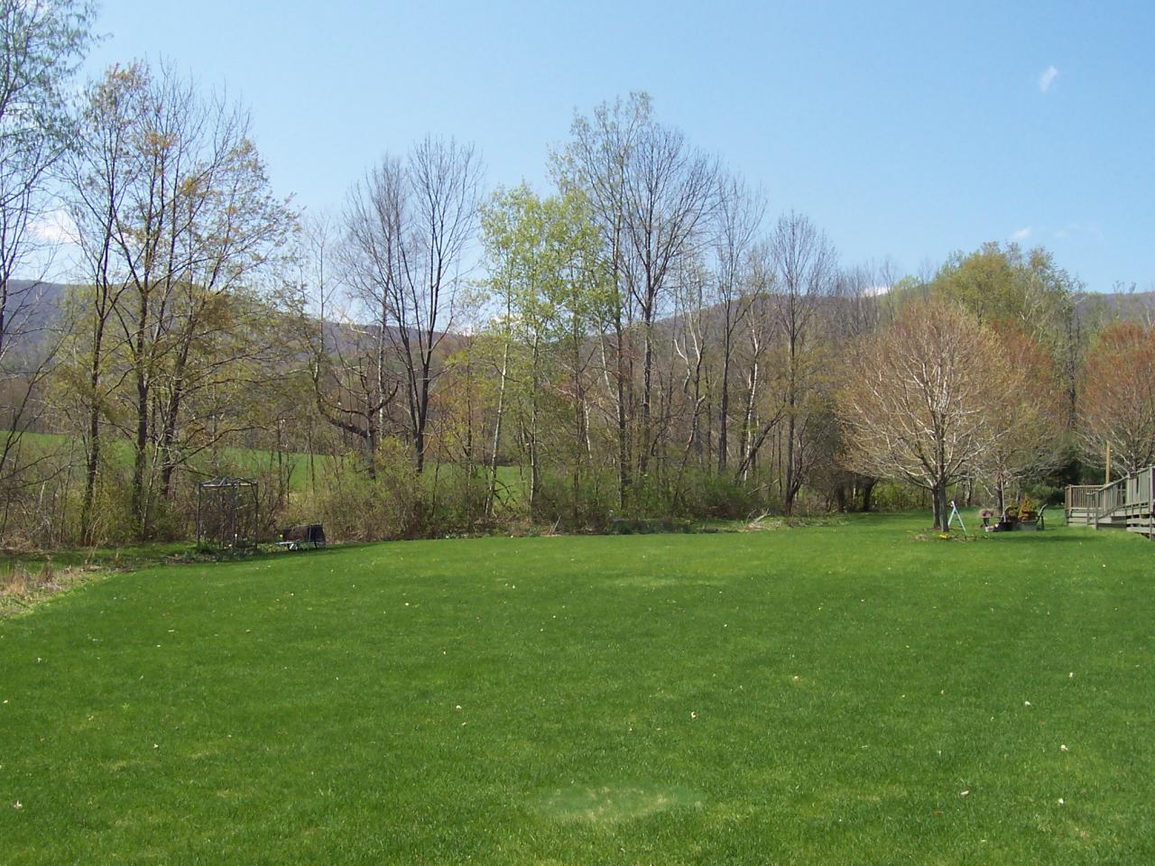 585 Hancock Road Williamstown, MA 01267 - Photo 14 of 25 Yard View