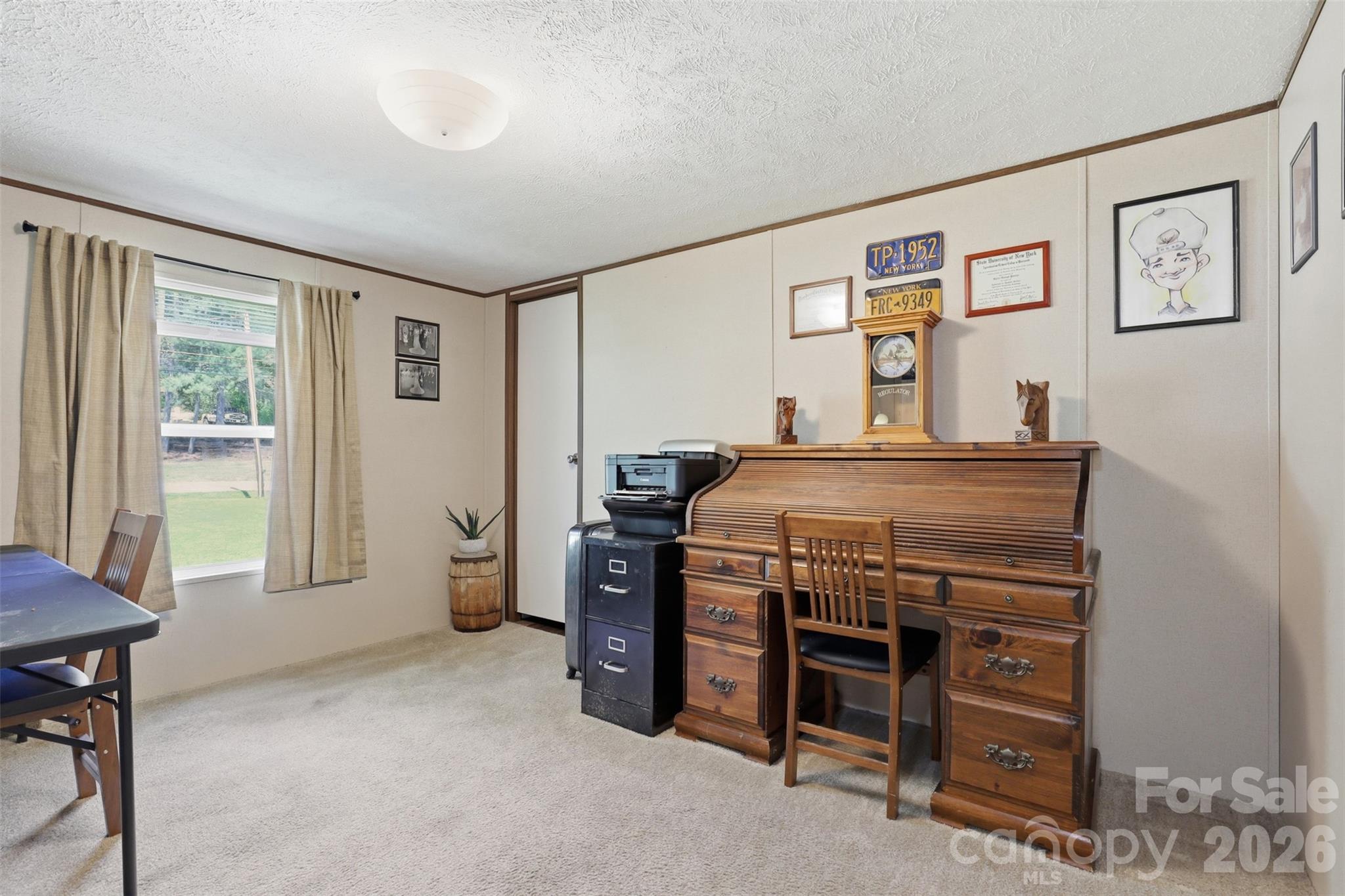 363 Banner Farm Road Mills River, NC 28759 - Photo 21 of 30