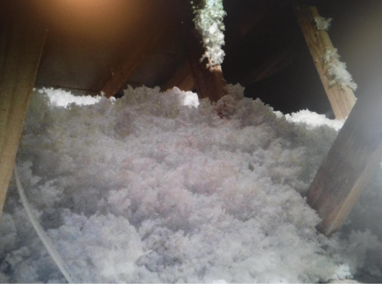 3100 Olivette Place Duncan, SC 29334 - Photo 16 of 23