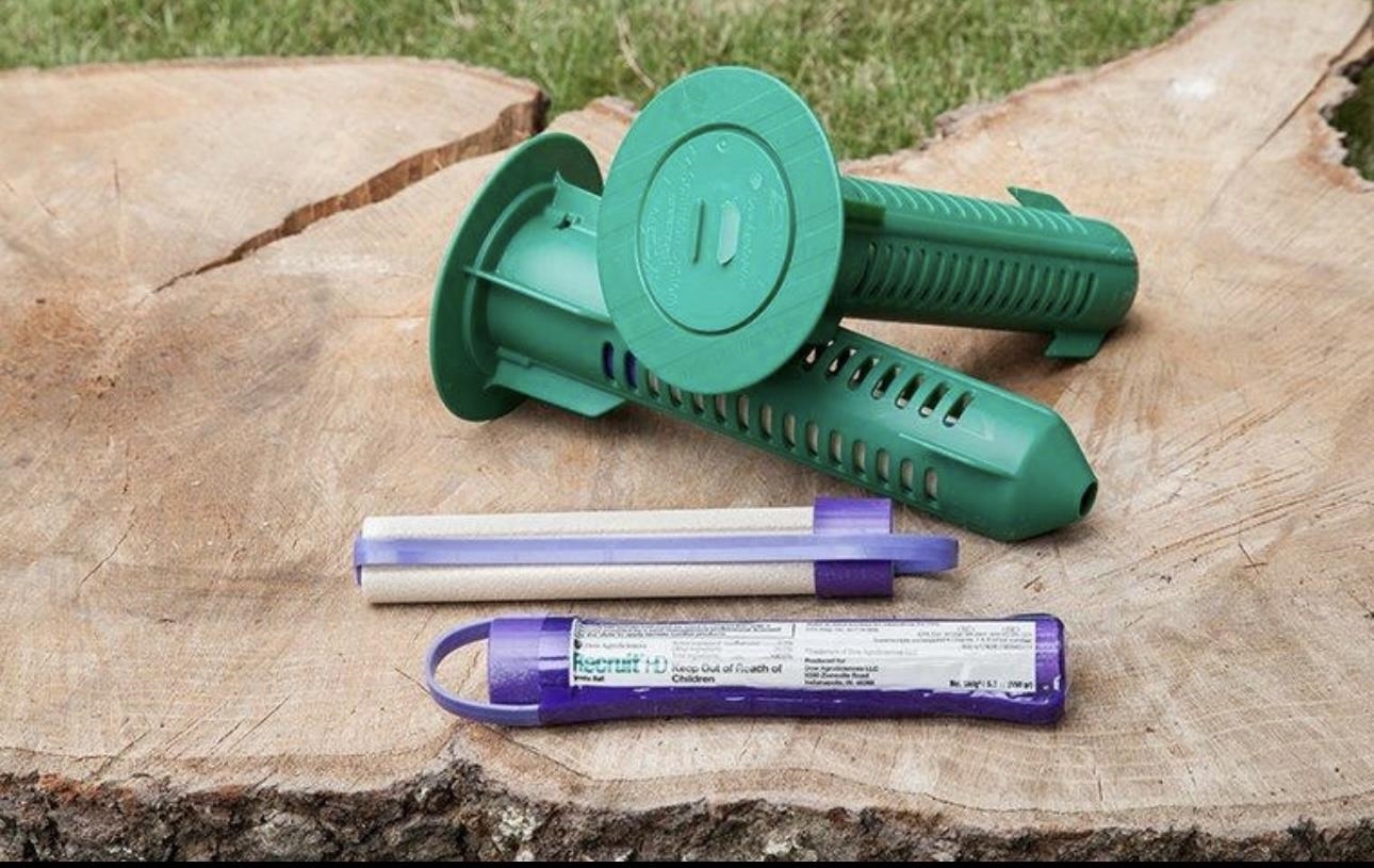 3100 Olivette Place Duncan, SC 29334 - Photo 19 of 23