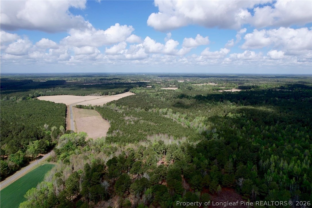 3331 Bogie Island Road Fayetteville, NC 28312 - Photo 9 of 10